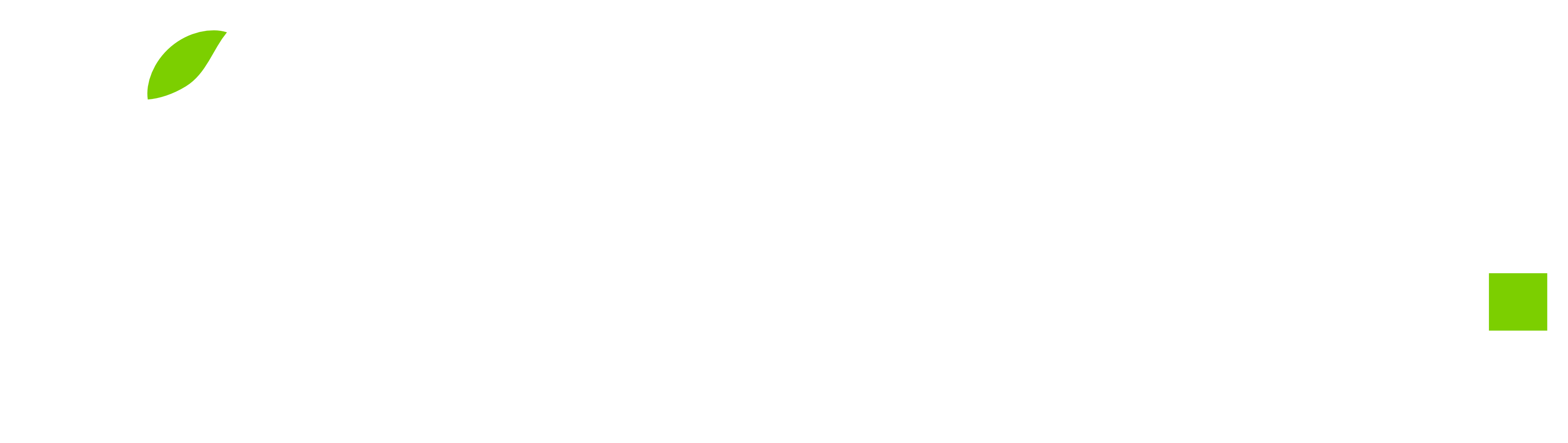 Avocarldo